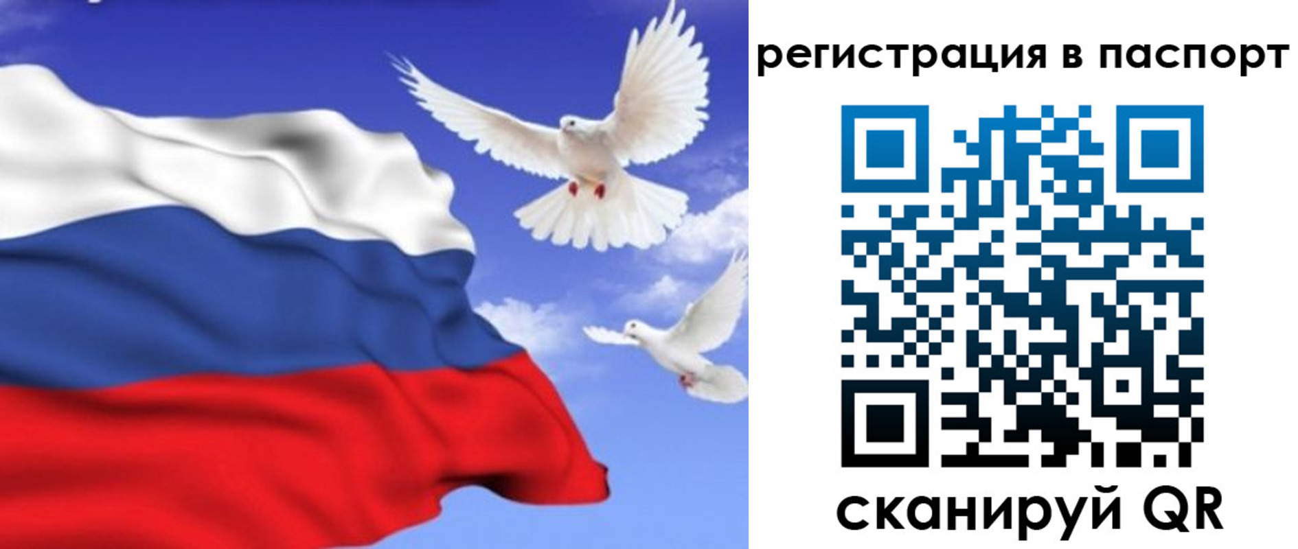 купить прописку в Невельске